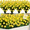 20 Bundles Artificial Flowers for Outdoors Fake Plants Summer Decor